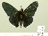  ( - HESP-EB 01 124)  @13 [ ] Copyright (2010) Ernst Brockmann Research Collection of Ernst Brockmann
