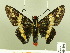  ( - HESP-EB 00 191)  @14 [ ] Copyright (2010) Unspecified Research Collection of Ernst Brockmann