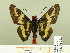  ( - HESP-EB 00 202)  @13 [ ] Copyright (2010) Unspecified Research Collection of Ernst Brockmann
