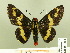  ( - HESP-EB 00 214)  @13 [ ] Copyright (2010) Unspecified Research Collection of Ernst Brockmann