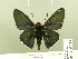  ( - HESP-EB 00 215)  @13 [ ] Copyright (2010) Unspecified Research Collection of Ernst Brockmann