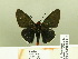  ( - HESP-EB 00 217)  @13 [ ] Copyright (2010) Unspecified Research Collection of Ernst Brockmann