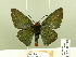  ( - HESP-EB 00 218)  @13 [ ] Copyright (2010) Unspecified Research Collection of Ernst Brockmann
