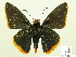  ( - HESP-EB 00 266)  @13 [ ] Copyright (2010) Unspecified Research Collection of Ernst Brockmann