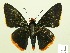  ( - HESP-EB 00 266)  @14 [ ] Copyright (2010) Unspecified Research Collection of Ernst Brockmann