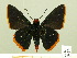  ( - HESP-EB 00 274)  @13 [ ] Copyright (2010) Unspecified Research Collection of Ernst Brockmann