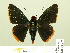  ( - HESP-EB 00 276)  @11 [ ] Copyright (2010) Unspecified Research Collection of Ernst Brockmann