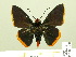  ( - HESP-EB 00 280)  @13 [ ] Copyright (2010) Unspecified Research Collection of Ernst Brockmann