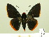  ( - HESP-EB 00 280)  @14 [ ] Copyright (2010) Unspecified Research Collection of Ernst Brockmann