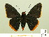  ( - HESP-EB 00 281)  @13 [ ] Copyright (2010) Unspecified Research Collection of Ernst Brockmann