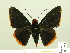  ( - HESP-EB 00 281)  @14 [ ] Copyright (2010) Unspecified Research Collection of Ernst Brockmann