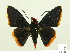  ( - HESP-EB 00 335)  @14 [ ] Copyright (2010) Unspecified Research Collection of Ernst Brockmann