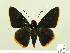  ( - HESP-EB 00 339)  @14 [ ] Copyright (2010) Unspecified Research Collection of Ernst Brockmann
