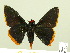 ( - HESP-EB 00 341)  @13 [ ] Copyright (2010) Unspecified Research Collection of Ernst Brockmann