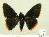  ( - HESP-EB 00 341)  @13 [ ] Copyright (2010) Unspecified Research Collection of Ernst Brockmann