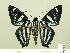  ( - HESP-EB 00 358)  @14 [ ] Copyright (2010) Unspecified Research Collection of Ernst Brockmann
