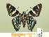  ( - HESP-EB 00 359)  @12 [ ] Copyright (2010) Unspecified Research Collection of Ernst Brockmann
