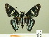  ( - HESP-EB 00 359)  @14 [ ] Copyright (2010) Unspecified Research Collection of Ernst Brockmann