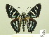  ( - HESP-EB 00 360)  @13 [ ] Copyright (2010) Unspecified Research Collection of Ernst Brockmann