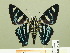  ( - HESP-EB 00 368)  @12 [ ] Copyright (2010) Unspecified Research Collection of Ernst Brockmann