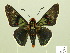  ( - HESP-EB 00 372)  @14 [ ] Copyright (2010) Unspecified Research Collection of Ernst Brockmann
