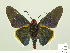  ( - HESP-EB 00-419)  @13 [ ] Copyright (2010) Unspecified Research Collection of Ernst Brockmann