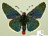  ( - HESP-EB 00-423)  @13 [ ] Copyright (2010) Unspecified Research Collection of Ernst Brockmann