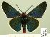  ( - HESP-EB 00-424)  @13 [ ] Copyright (2010) Unspecified Research Collection of Ernst Brockmann