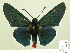  ( - HESP-EB 00-424)  @14 [ ] Copyright (2010) Unspecified Research Collection of Ernst Brockmann