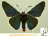  ( - HESP-EB 00-425)  @13 [ ] Copyright (2010) Unspecified Research Collection of Ernst Brockmann