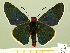  ( - HESP-EB 00-426)  @13 [ ] Copyright (2010) Unspecified Research Collection of Ernst Brockmann