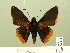  ( - HESP-EB 00-448)  @14 [ ] Copyright (2010) Ersnt Brockmann Research Collection of Ernst Brockmann