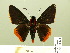  ( - HESP-EB 00-448)  @14 [ ] Copyright (2010) Ersnt Brockmann Research Collection of Ernst Brockmann