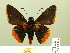  ( - HESP-EB 00-449)  @14 [ ] Copyright (2010) Ersnt Brockmann Research Collection of Ernst Brockmann