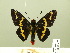  ( - HESP-EB 00-475)  @13 [ ] Copyright (2010) Ersnt Brockmann Research Collection of Ernst Brockmann