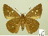  ( - HESP-EB 00 513)  @13 [ ] Copyright (2010) Unspecified Research Collection of Ernst Brockmann