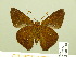  ( - HESP-EB 00 518)  @13 [ ] Copyright (2010) Unspecified Research Collection of Ernst Brockmann