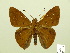  ( - HESP-EB 00 519)  @14 [ ] Copyright (2010) Unspecified Research Collection of Ernst Brockmann