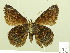  ( - HESP-EB 00 528)  @12 [ ] Copyright (2010) Unspecified Research Collection of Ernst Brockmann