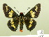  ( - HESP-EB 00 578)  @14 [ ] Copyright (2010) Unspecified Research Collection of Ernst Brockmann
