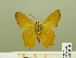  ( - HESP-EB 00 583)  @12 [ ] Copyright (2010) Unspecified Research Collection of Ernst Brockmann
