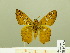  ( - HESP-EB 00 583)  @13 [ ] Copyright (2010) Unspecified Research Collection of Ernst Brockmann