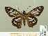  ( - HESP-EB 00 694)  @13 [ ] Copyright (2010) Unspecified Research Collection of Ernst Brockmann