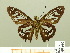  ( - HESP-EB 00 697)  @12 [ ] Copyright (2010) Unspecified Research Collection of Ernst Brockmann
