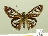  ( - HESP-EB 00 697)  @13 [ ] Copyright (2010) Unspecified Research Collection of Ernst Brockmann