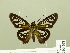  ( - HESP-EB 00 708)  @14 [ ] Copyright (2010) Unspecified Research Collection of Ernst Brockmann