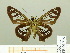  ( - HESP-EB 00 715)  @13 [ ] Copyright (2010) Unspecified Research Collection of Ernst Brockmann