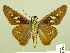  ( - HESP-EB 00 733)  @14 [ ] Copyright (2010) Unspecified Research Collection of Ernst Brockmann