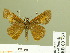  ( - HESP-EB 00 757)  @13 [ ] Copyright (2010) Unspecified Research Collection of Ernst Brockmann
