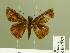  ( - HESP-EB 00 757)  @13 [ ] Copyright (2010) Unspecified Research Collection of Ernst Brockmann